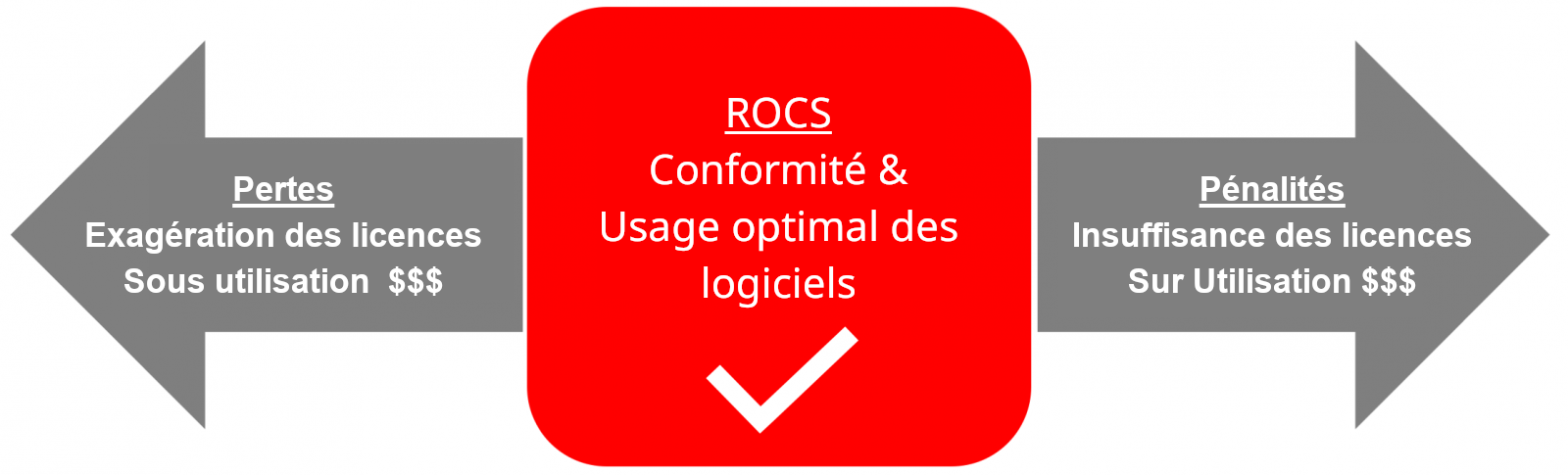 ROCS vise la conformité et l'usage optimal des logiciels, entre les pertes dues aux licences en trop et les pénalités dues aux licences insuffisantes